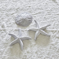 Ceramic Sand Dollar For Discount