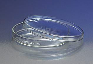 PYREX 150x15mm Petri Dish Bottom Only Online