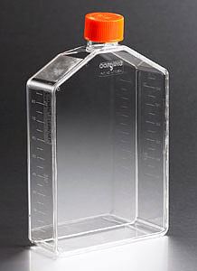 3293 CellBIND 225cm Angled Neck Cell Culture Flask with Hot on Sale