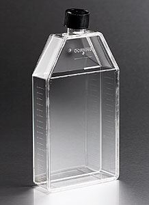 430824 150cm Rectangular Canted Neck Cell Culture Flask w Cheap