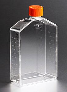 3292 CellBIND 175cm Angled Neck Cell Culture Flask with For Cheap