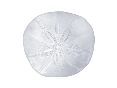 Ceramic Sand Dollar For Discount