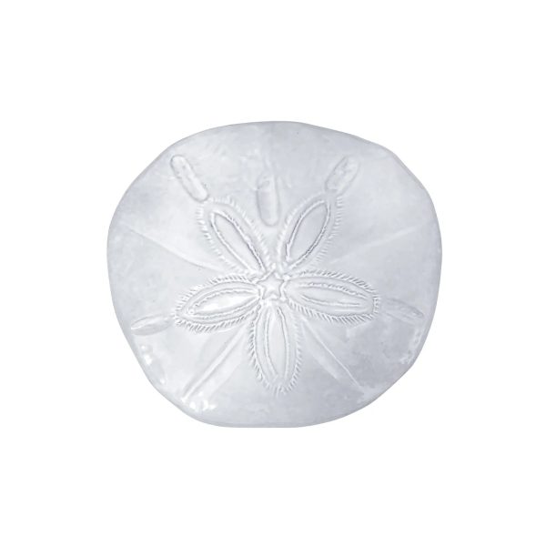 Ceramic Sand Dollar For Discount